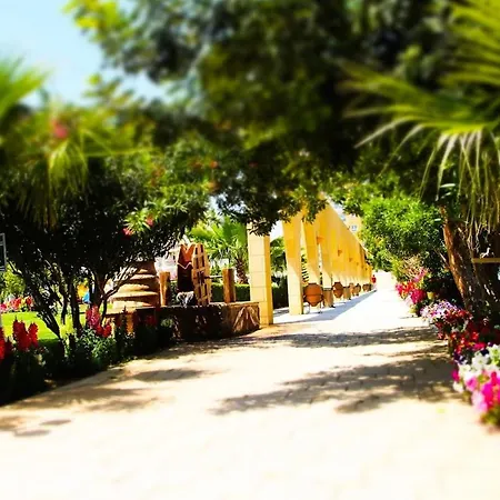 Appartement уютные -cozy